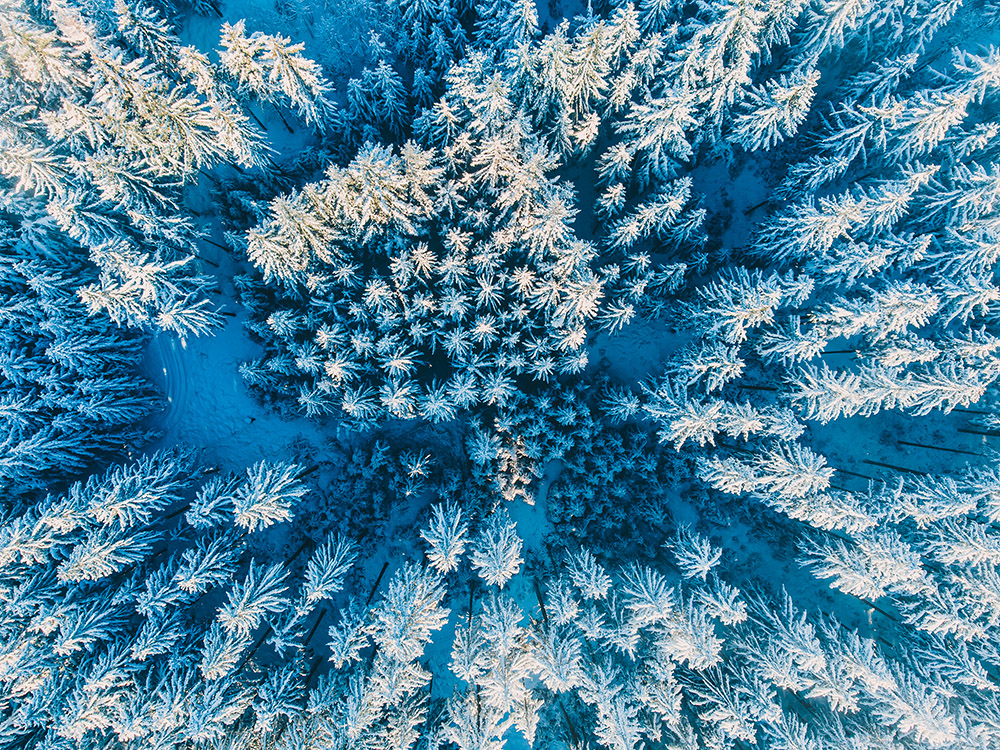 Winterlicher Schwarzwald aus der Vogelperspektive